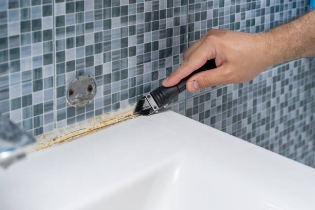 Best Professional Mold Removal  in Corona De Tucson, AZ